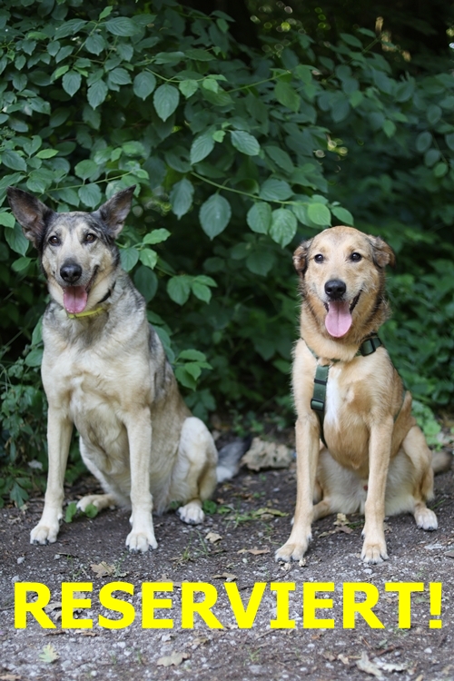 Frieda und Henry