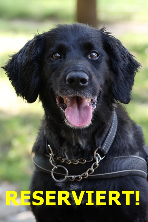 Milo