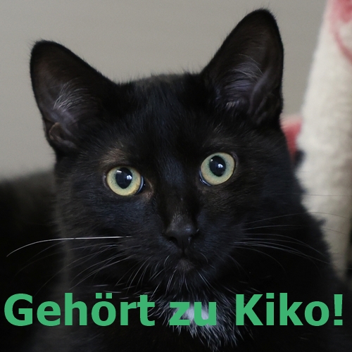 Kuni