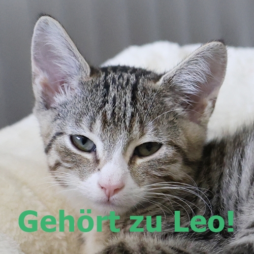 Lenny